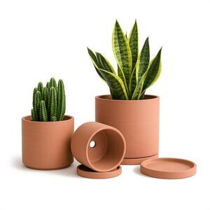 Terracotta Planter Pots with Drainage and Saucers Set for Succulents Cactus